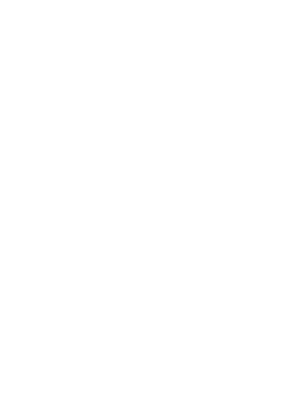 SEA AIR logo