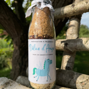 delice_ange_cheval_sea_air