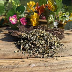 Édition Printemps 🌼